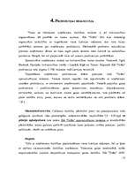 Referāts 'SIA "Triāls" darbības analīze', 13.