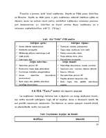 Referāts 'SIA "Triāls" darbības analīze', 19.