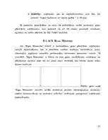 Referāts 'SIA "Triāls" darbības analīze', 33.