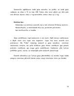 Referāts 'SIA "Triāls" darbības analīze', 39.