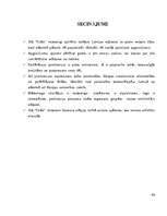 Referāts 'SIA "Triāls" darbības analīze', 40.