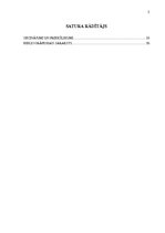 Referāts 'Muitas procedūra "Tranzīts". Piemērošanas nosacījumu analīze', 2.