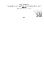 Referāts 'Homopolāro motoru griešanās frekvence atkarībā no rotora garuma', 1.