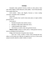 Referāts 'Homopolāro motoru griešanās frekvence atkarībā no rotora garuma', 3.