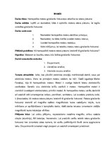 Referāts 'Homopolāro motoru griešanās frekvence atkarībā no rotora garuma', 5.