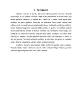 Referāts 'Homopolāro motoru griešanās frekvence atkarībā no rotora garuma', 18.