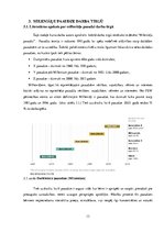 Referāts 'Milleniāļu paaudze', 13.