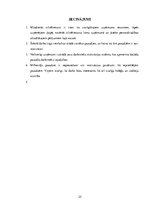 Referāts 'Milleniāļu paaudze', 25.