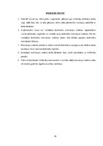 Referāts 'Milleniāļu paaudze', 26.