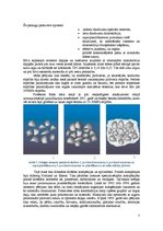 Referāts 'Augstas stiprības betoni', 7.