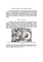 Referāts 'Augstas stiprības betoni', 8.