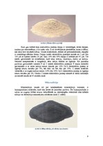 Referāts 'Augstas stiprības betoni', 9.