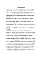 Referāts 'Reklāmas loma mūsdienās', 6.