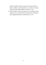 Referāts 'Reklāmas loma mūsdienās', 8.