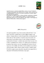 Referāts 'Reklāmas loma mūsdienās', 15.