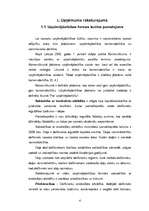 Referāts 'Uzņēmuma dibināšanas process', 4.