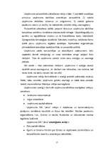 Referāts 'Uzņēmuma dibināšanas process', 17.