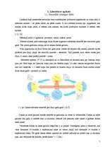 Referāts 'Koku un krūmu dzīve ziemā', 7.