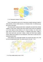 Referāts 'Koku un krūmu dzīve ziemā', 8.