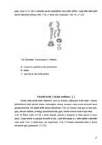 Referāts 'Koku un krūmu dzīve ziemā', 27.