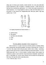 Referāts 'Koku un krūmu dzīve ziemā', 32.