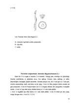 Referāts 'Koku un krūmu dzīve ziemā', 38.