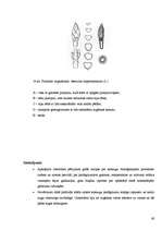 Referāts 'Koku un krūmu dzīve ziemā', 39.