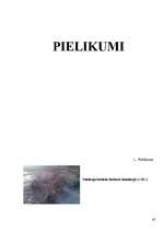 Referāts 'Koku un krūmu dzīve ziemā', 42.