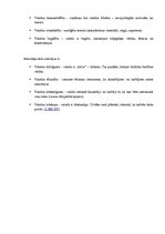 Referāts 'Valodas kļūdas vidusskolēnu leksikā', 6.