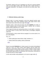 Referāts 'Valodas kļūdas vidusskolēnu leksikā', 9.