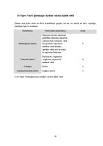 Referāts 'Valodas kļūdas vidusskolēnu leksikā', 19.