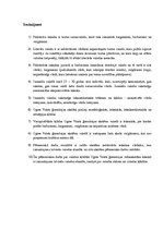 Referāts 'Valodas kļūdas vidusskolēnu leksikā', 22.