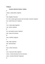 Referāts 'Valodas kļūdas vidusskolēnu leksikā', 24.