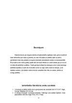 Referāts 'Ieilgums kā īpašuma iegūšanas priekšnosacījums', 10.