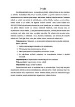 Referāts 'Impresionisma aktualitāte mūsdienās', 5.