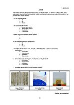 Referāts 'Impresionisma aktualitāte mūsdienās', 32.