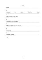 Referāts 'Cilvēktiesības policijas darbā', 2.