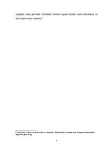 Referāts 'Cilvēktiesības policijas darbā', 8.