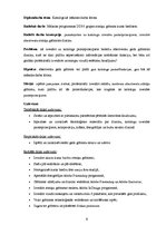 Diplomdarbs 'Katalogs kā mākslas darba forma', 6.