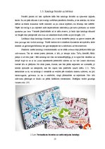 Diplomdarbs 'Katalogs kā mākslas darba forma', 13.