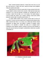 Diplomdarbs 'Katalogs kā mākslas darba forma', 20.