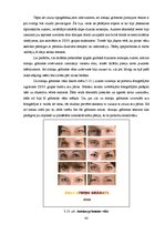 Diplomdarbs 'Katalogs kā mākslas darba forma', 48.