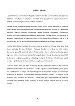 Referāts 'Cistiskā fibroze', 4.