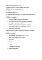 Konspekts 'Integrētas stundas konspekts 2. klasei. Vējdzirnavas', 1.