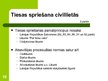 Prezentācija 'Civilprocesa principi', 10.