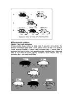 Konspekts 'Starplokusu mijiedarbības veidi', 2.