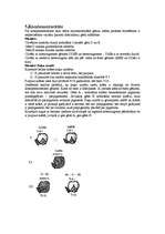 Konspekts 'Starplokusu mijiedarbības veidi', 3.