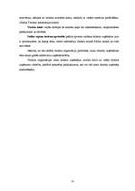 Referāts 'Lauku tūrisma pašreizējā situācija un attīstības iespējas Saldus rajonā', 16.