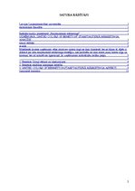 Referāts 'Uzņēmuma "United Colors of Bbenetton" starptautiskā mārketinga analīze', 2.