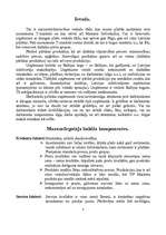 Referāts 'Uzņēmuma tēls', 2.